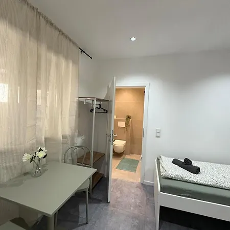 公寓 Perfekte 3 Fuer Monteure & Handwerker Mit Wlan 莱茵河畔路德维希港