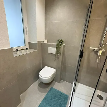 公寓 Perfekte 3 Fuer Monteure & Handwerker Mit Wlan 莱茵河畔路德维希港